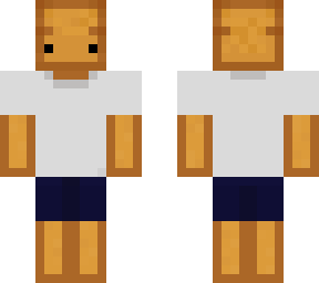idiot sandwich (no i on shirt)