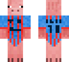 pig with a fc barcelona t-shirt (ibai 10)