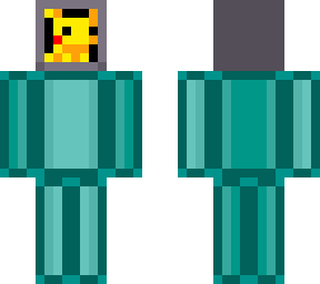 skin
