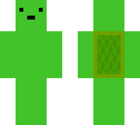 turtle man