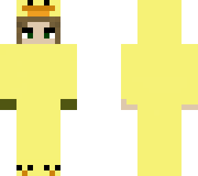 a duck