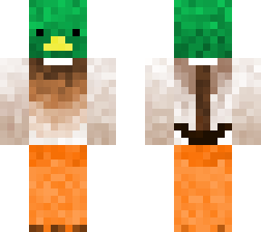 mallard duck