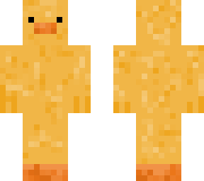 a duck
