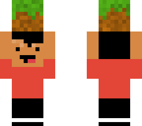 a derp skin holding an earth block