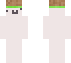 skin from name mc dirt version