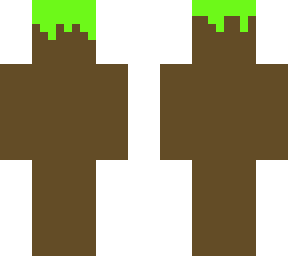 of minecraft grass