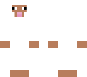 sheep