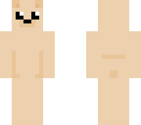 a minecraft skin of my teddy bear