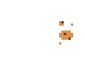 chocolate chip (read disc)
