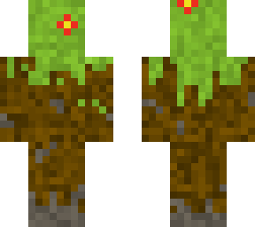 dirt, grass, flowers and stone