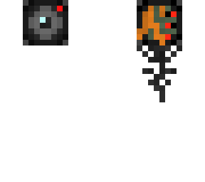 fasc 1.1