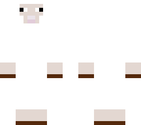 sheep