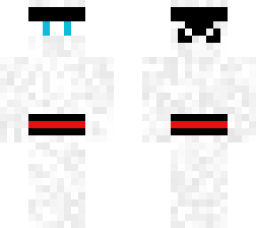 snowy ninja
