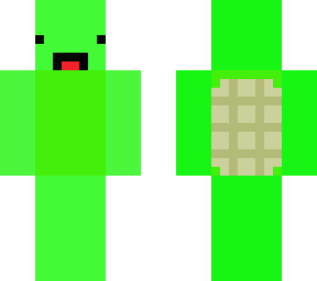 turtle