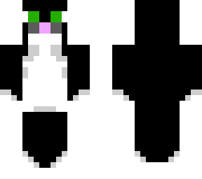 black and white cat