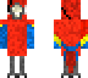 pirate parrot