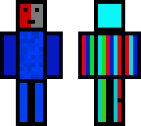 skin