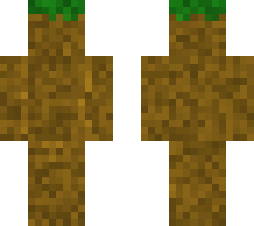 block of dirt