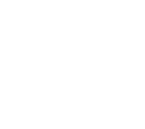 dodo skin