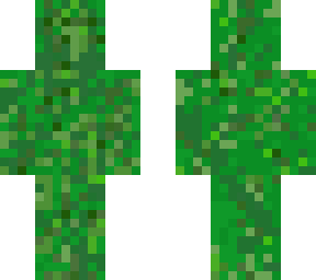 grass disguise minecraft skin