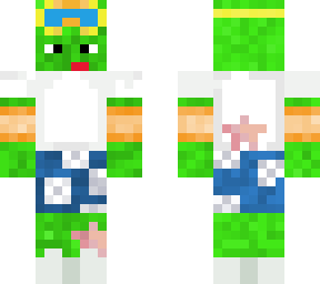 turtle in the summer