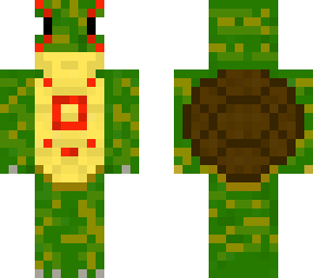 turtle shaman