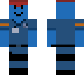 security skin
