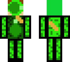 skin