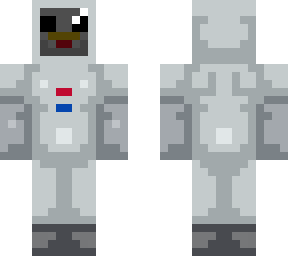 spacechicken