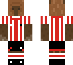 brentford fc capybara