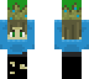 holding a grass block