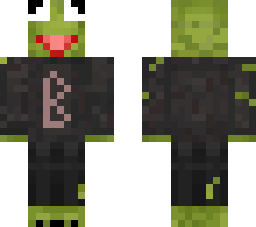 kermit ale poszarpany