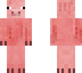 pig