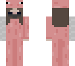 pig bucky