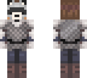 raccoon knight
