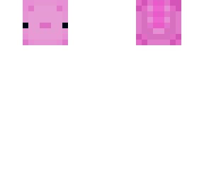 axolotl head