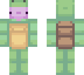 axolotl in a turtle