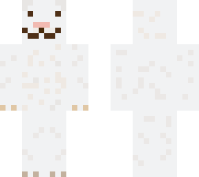 kitty