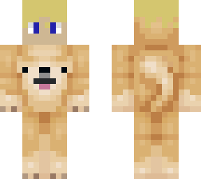 the skin for doge