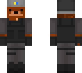 bear swat