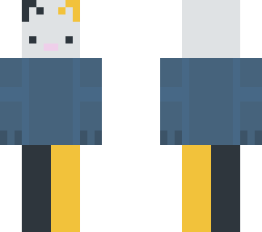 cat skin