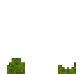grass