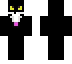 my cat as aminecraft skin