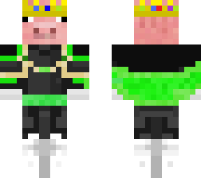 philza clotes technoblade