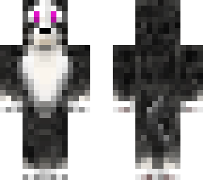 black dog