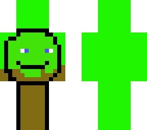 real dream damincraftguy