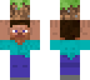 steve hold dirt