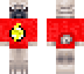 flash pug