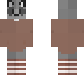 racoon boi