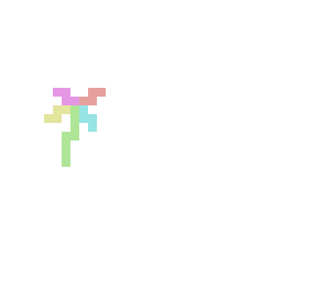 rainbow  flower